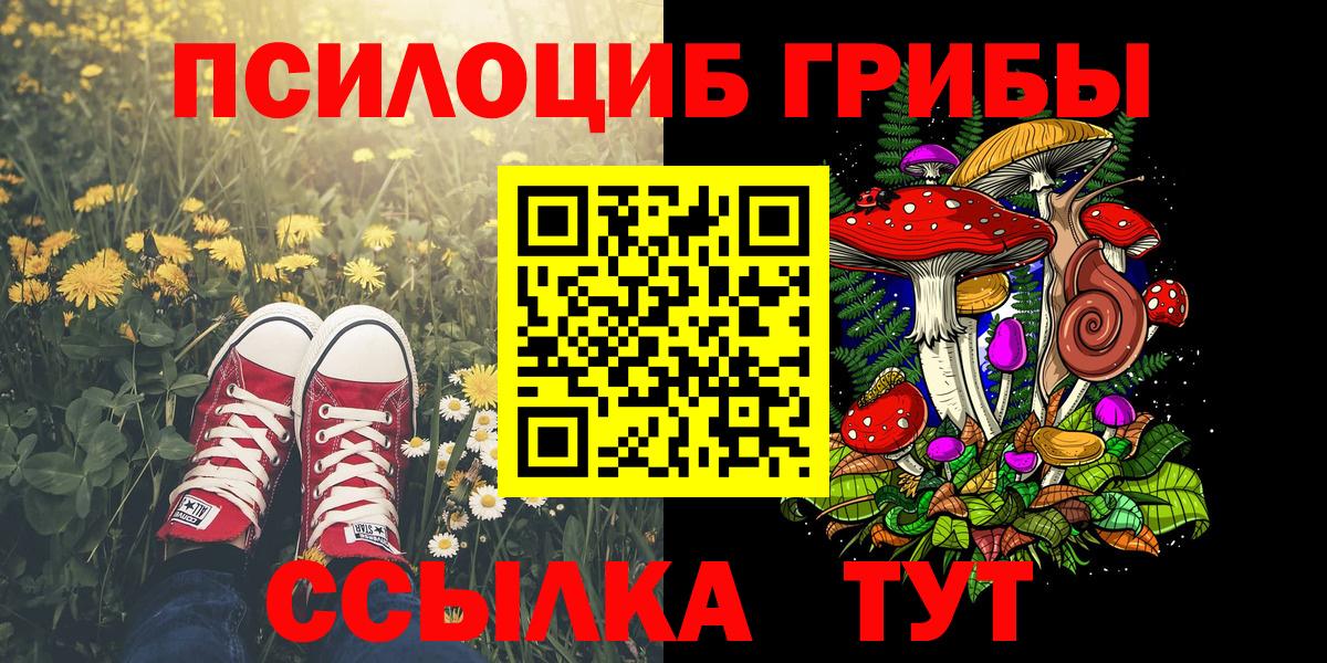 Галлюциногенные грибы прущие грибы  купить   Уссурийск  Вход с VPN 