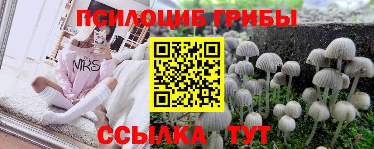 Псилоцибиновые грибы MAGIC MUSHROOMS Уссурийск